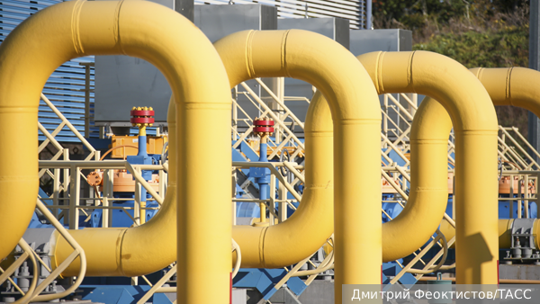     Фото: Дмитрий Феоктистов/ТАСС   
 Текст: Александра Юдина