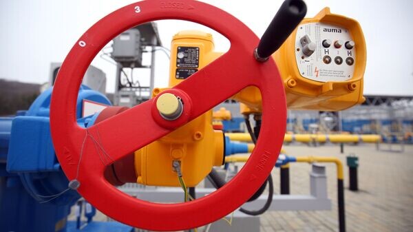    © Sputnik / Виталий Тимкив