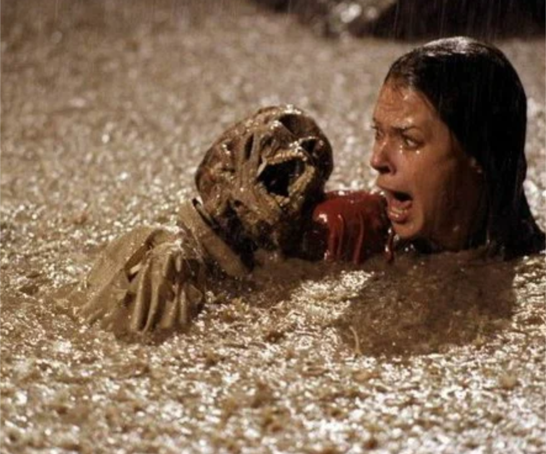 Кадры используются в образовательных целях.