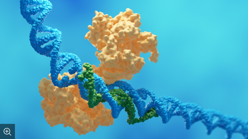 Изображение: iStock/luismmolina