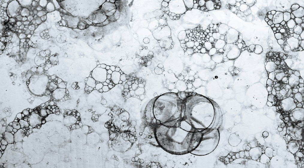 Изображение: архивы Kier in Sight/Unsplash.