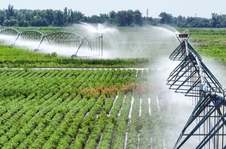    Волгоградская область озвучила свою структуру посевных площадей на 2025 год