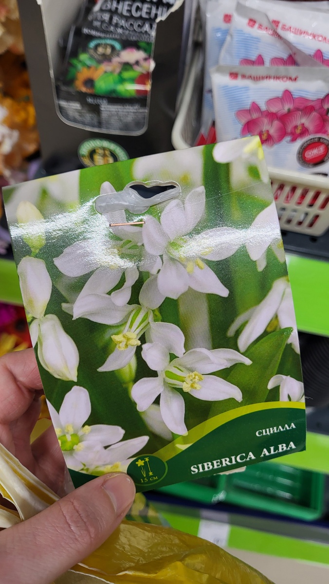 Галерея, листайте