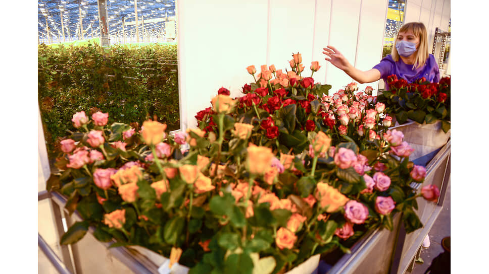 Фото: Влад Некрасов / Коммерсантъ