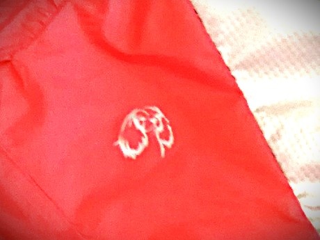 Лого: Кавалерская мордашка - светоотражайка! 