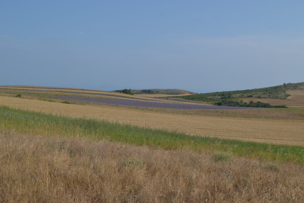 Где-то в Бургасской области...