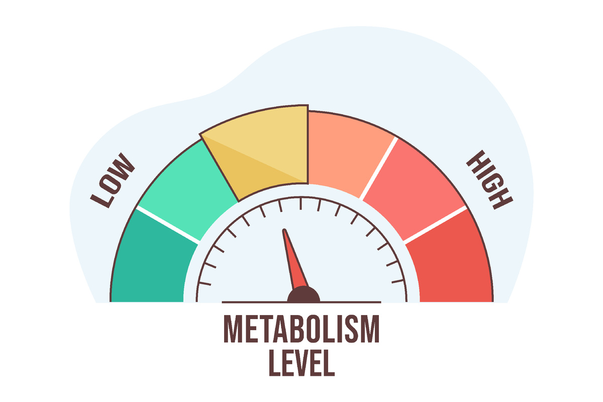 <a href="https://ru.freepik.com/free-vector/flat-infographic-metabolism-level-scale-with-arrow-measurement-value_26195125.htm#fromView=keyword&page=1&position=6&uuid=9f409c51-12c8-4ed4-980b-3c16a3f51347&query=Metabolism">Изображение от redgreystock на Freepik</a>