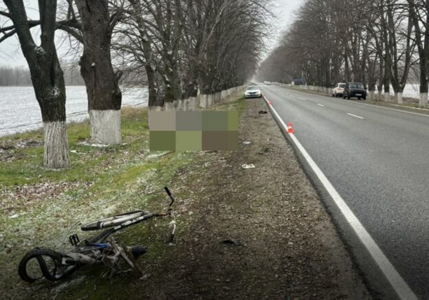    Фото: t.me/gibdd123region