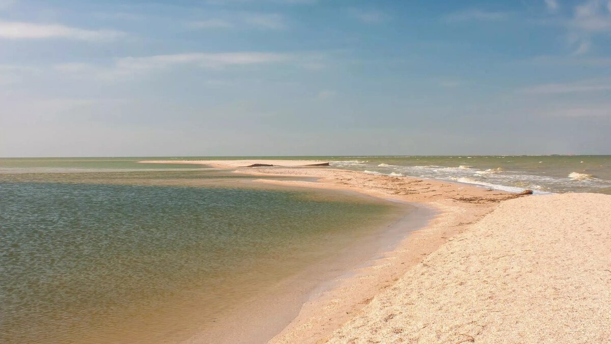     Автор: wikimedia.org