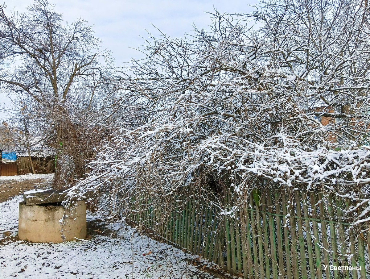У нас во дворе