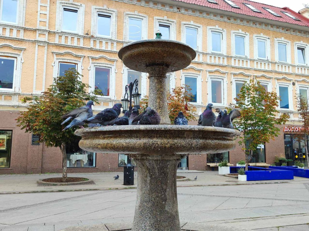 Фото автора.