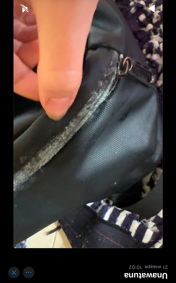 Заплесневела сумка 