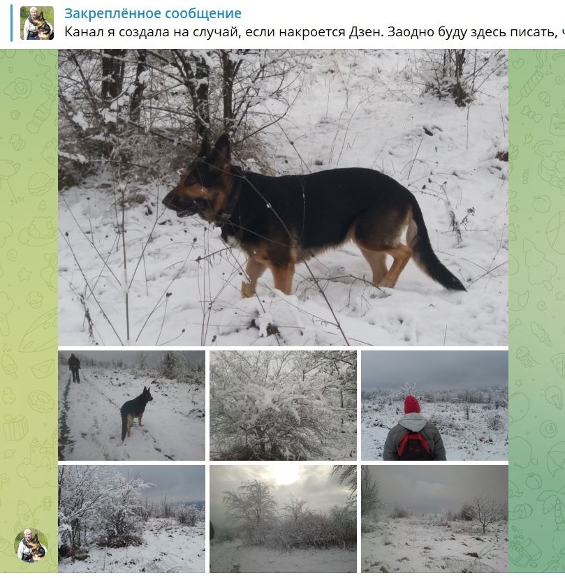 Фото автора