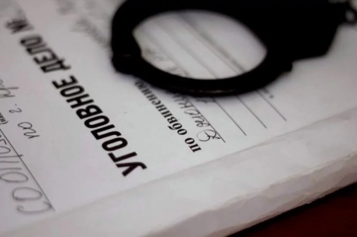    Арестованной внучке убитого экс-мэра Самары грозит пожизненное заключение