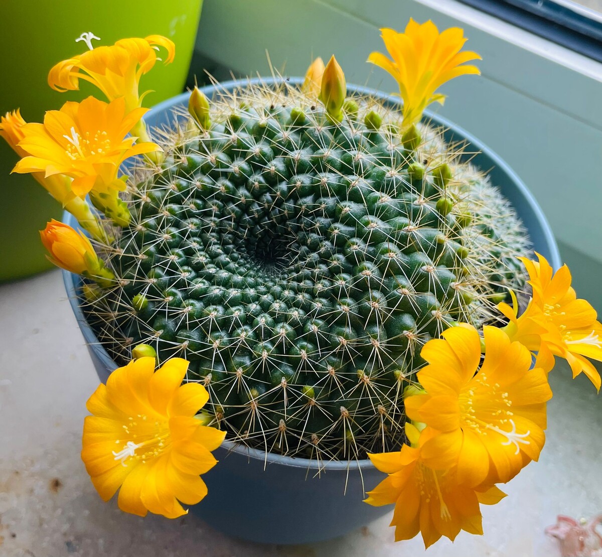 Фото вчера сделано