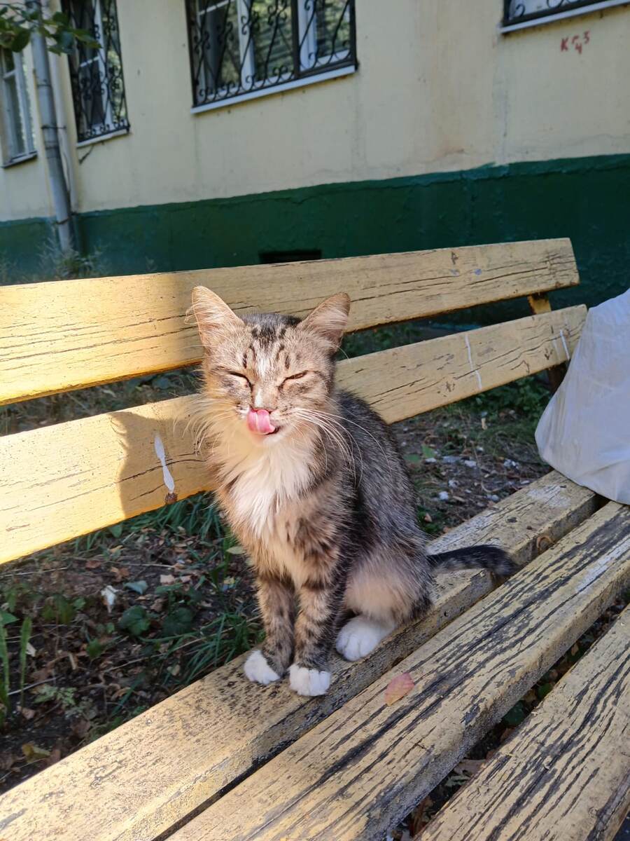 Может хотя бы покормите?