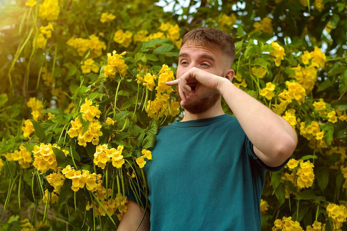 В период раннего цветения многие сталкиваются с неприятном зудом носа. Источник: Shutterstock📷
