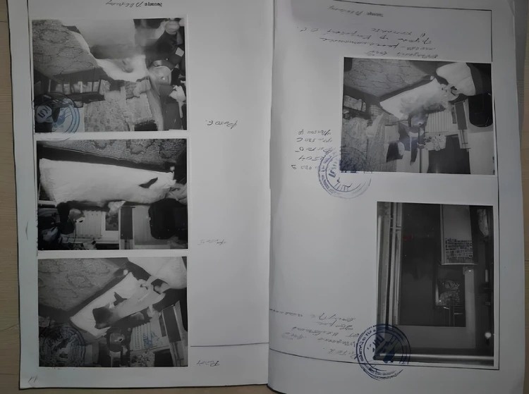 Материалы дела. Следствие по нему было приостановлено через три месяца. Фото: СУ СКР по Омской области