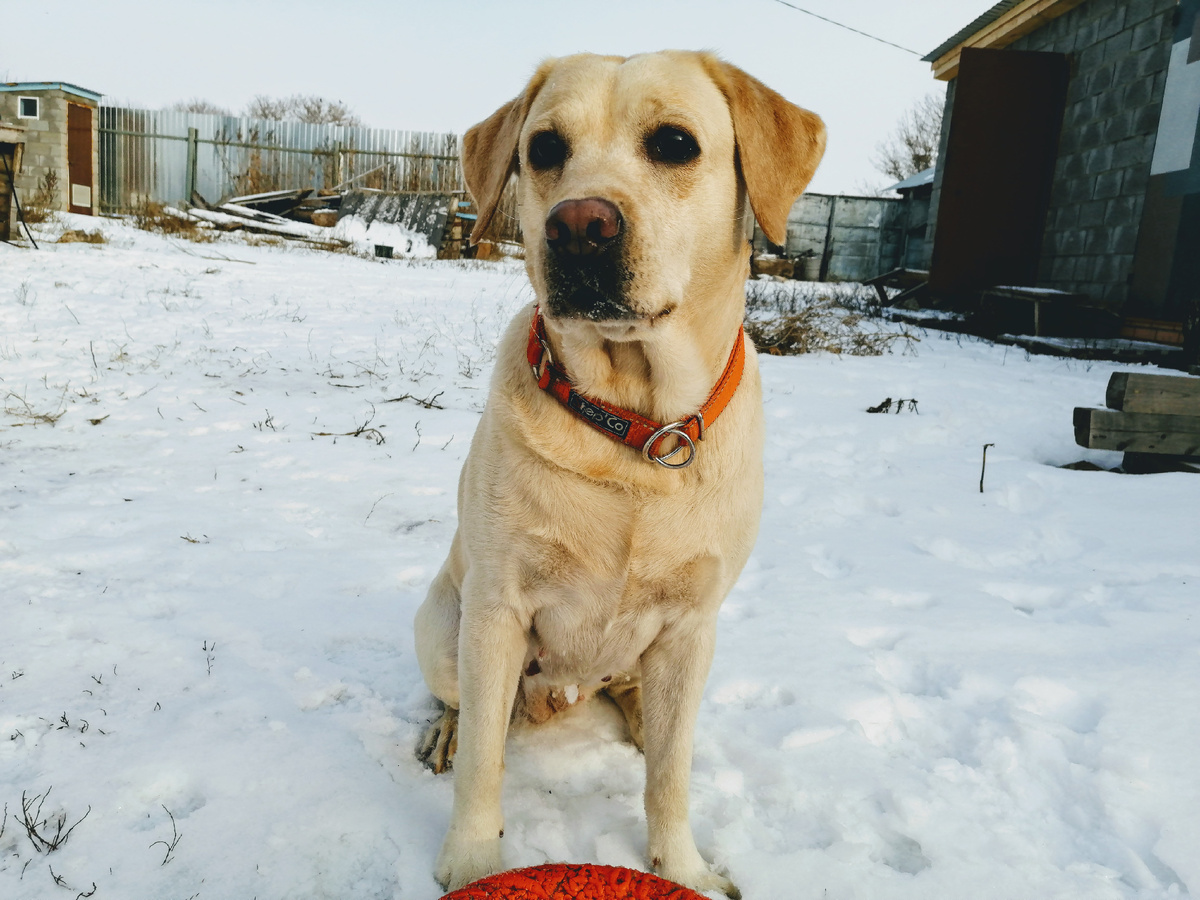 Давай играть