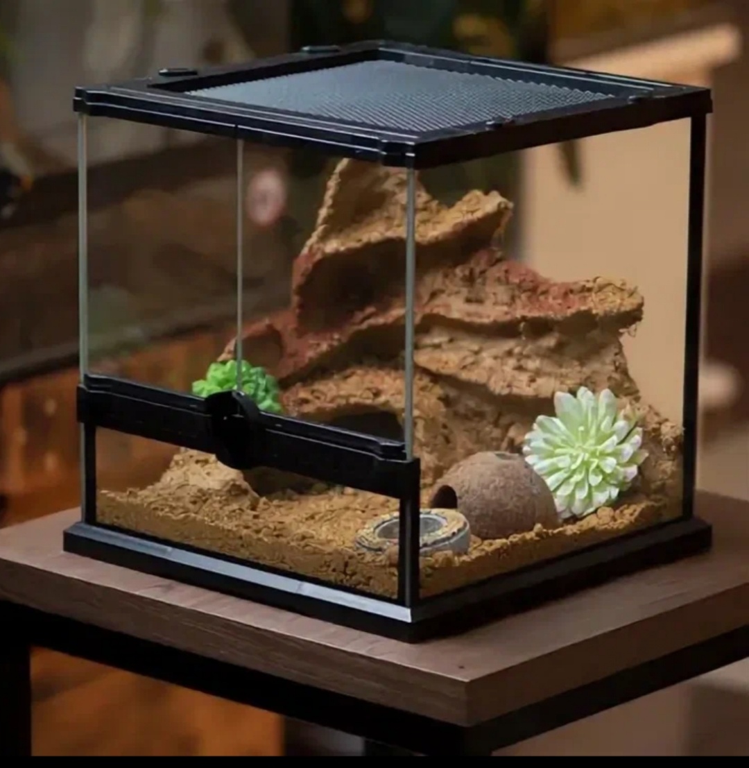 Для одного эублефара вполне подойдёт террариум размером 30/30/30. Можно и немного больше.