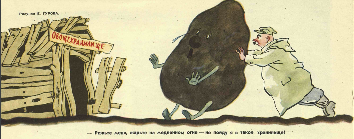 Советская карикатура, высмеивающая сельскохозяйственные проблемы советского государства. (Крокодил. 1960. № 31. С. 8).