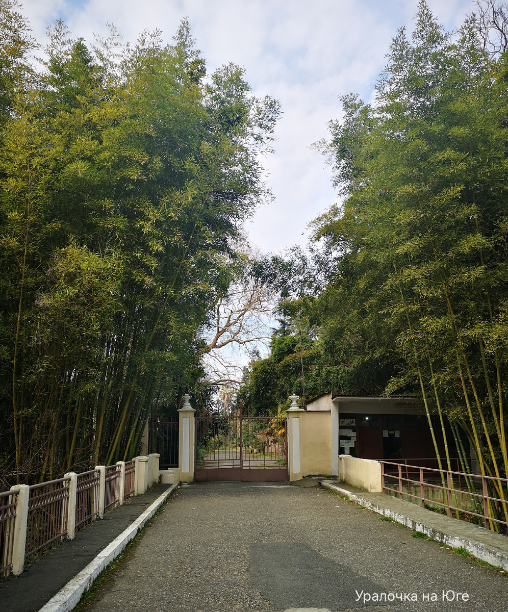 Парк "Синоп"