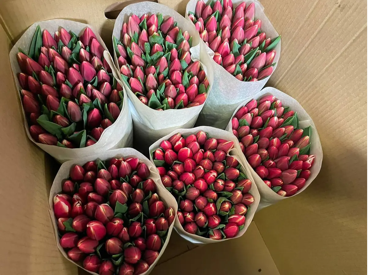 Фото администарции кочубеввского округа