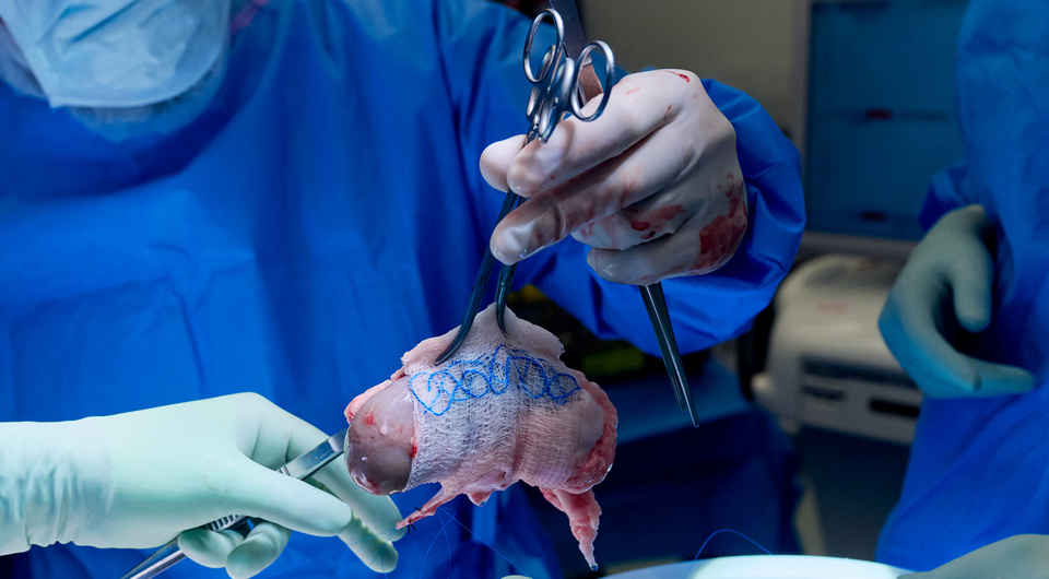   Joe Carrotta for NYU Langone Health