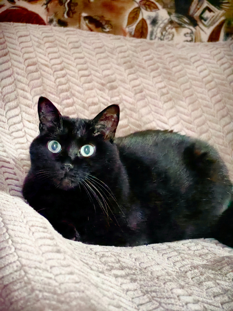 Не глаза, а глазища