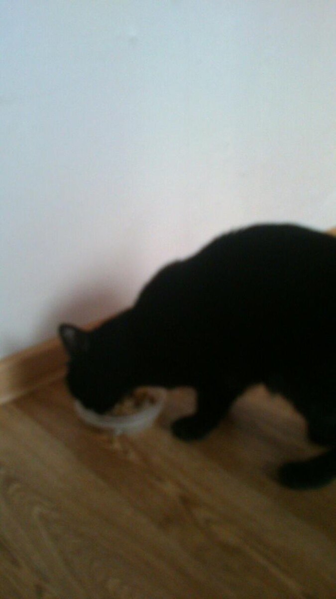 Это первая её фотография