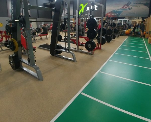 Спортивный линолеум Omnisports Action 65