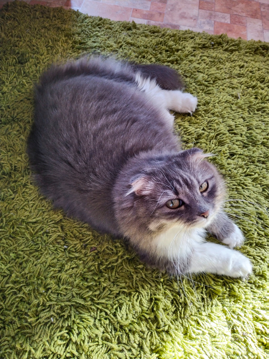 А Буся там мыслит что-то...