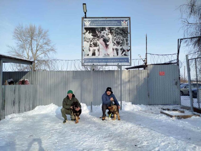    УФСИН по Воронежской области.