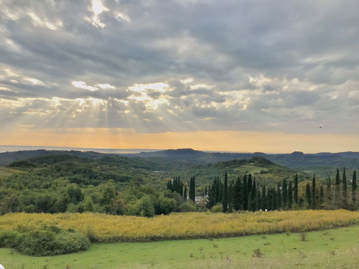 Фото автора.