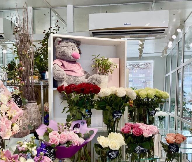 Сплит-системы Belluna в цветочном бизнесе