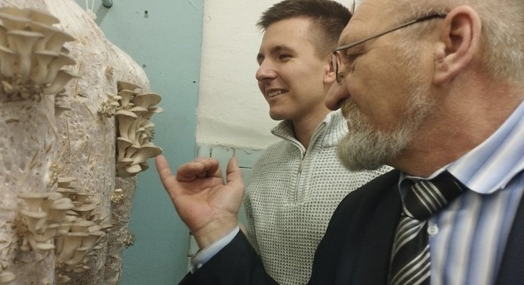    В рамках курса по сити-фермерству студенты кожевниковского техникума агробизнеса вырастили вёшенки