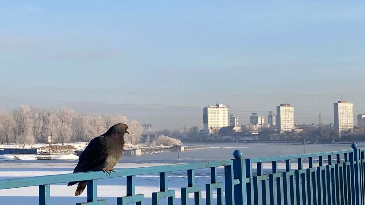     Источник: prmira.ru