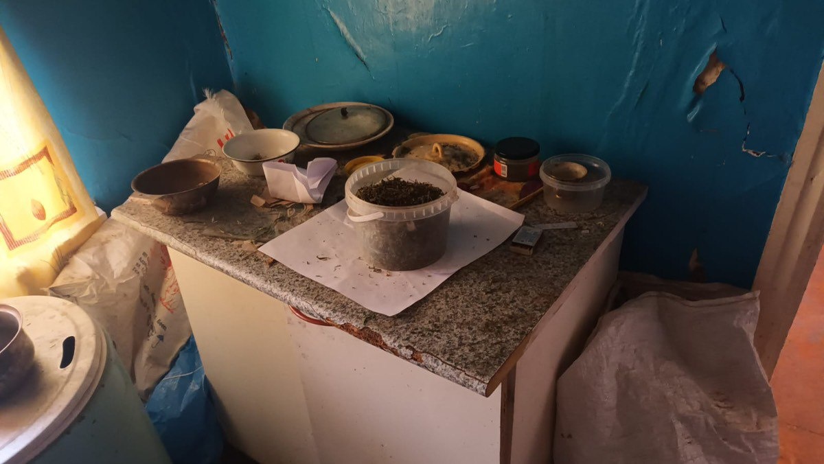    Более 3 кг марихуаны «для личного употребления» нашли и изъяли полицейские в Воронежской области ГУ МВД России по Воронежской области