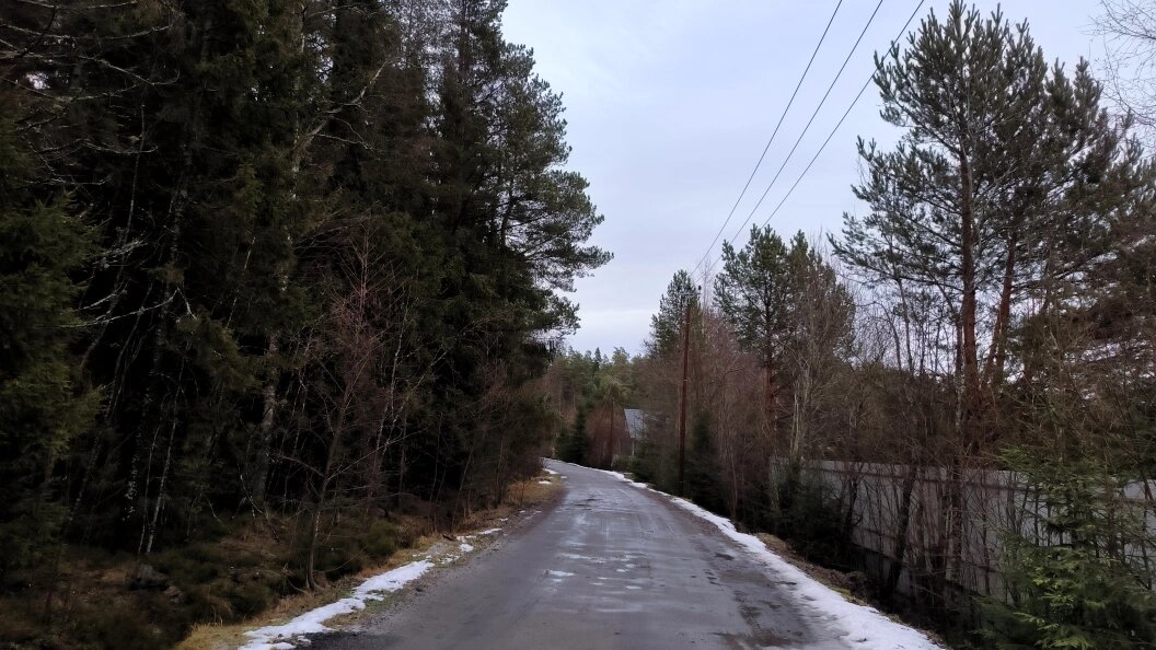    Maksim Konstantinov/Global Look Press