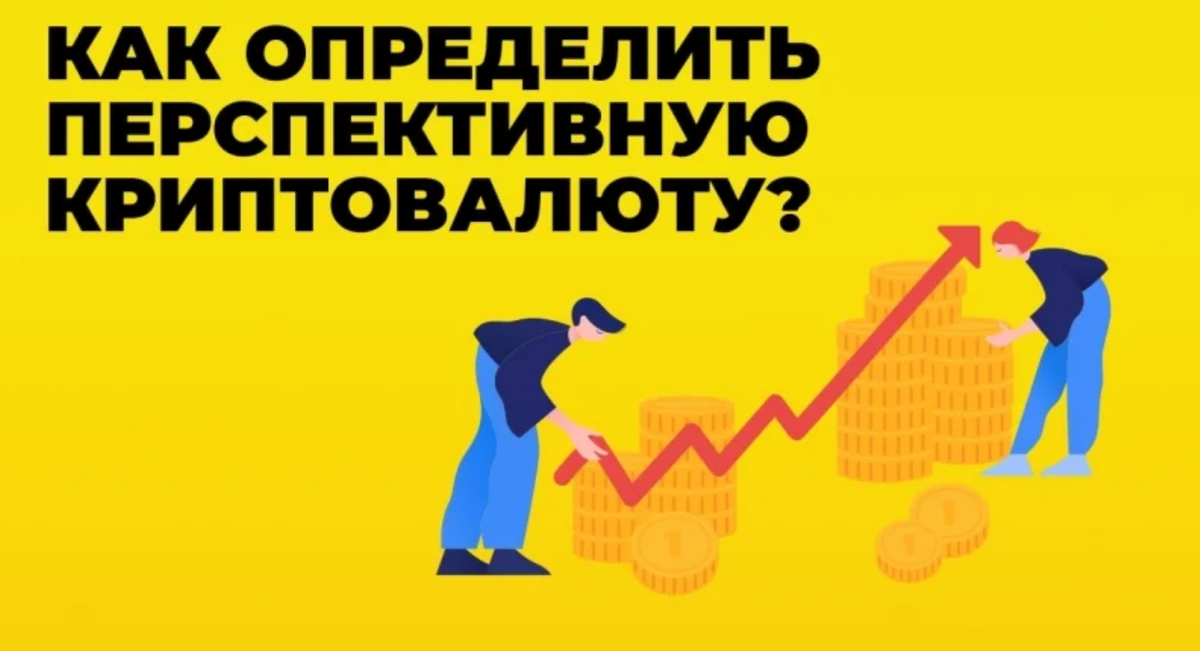 Как узнать, стоит ли покупать криптовалюту: важные советы для инвесторов