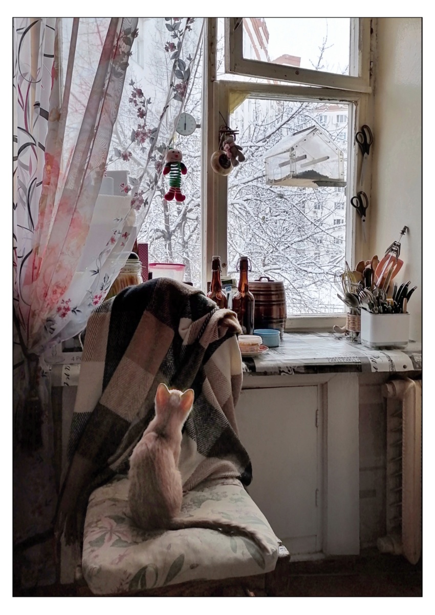 "Он же РОЗОВЫЙ!" - воскликнула соседка, впервые увидев нашего Кексика. ЗНАКОМСТВО С МИРОМ - Кексик осваивается