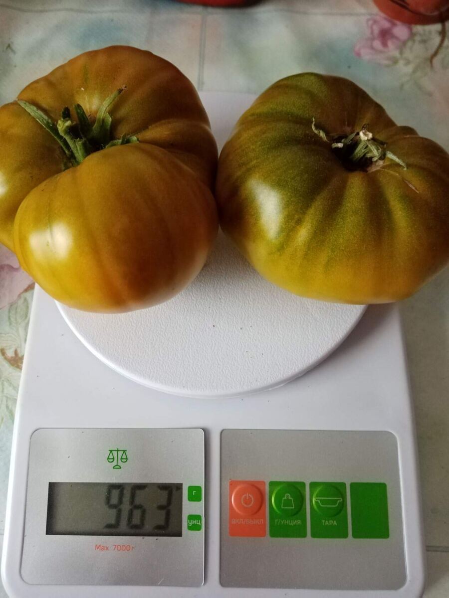 Малахитовая шкатулка в биологической спелости. Фото автора