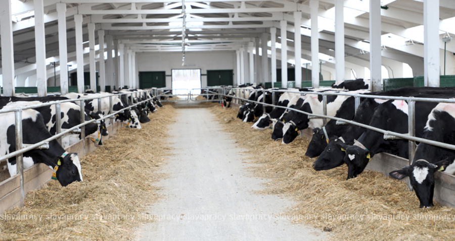     Результат с приставкой экстра: рассказываем об одном из новых МТК Копыльщины