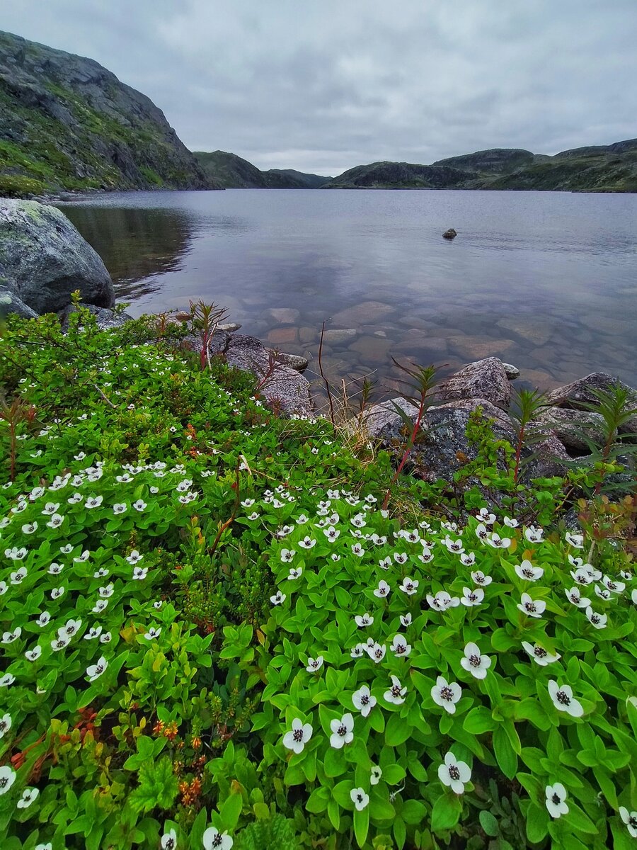 Озеро Батарейское 