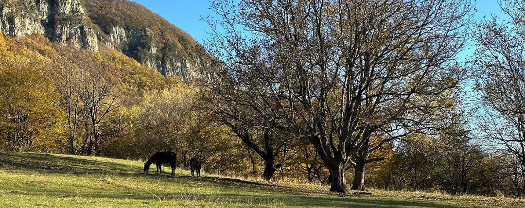 «Кудаблин»: Владикавказ