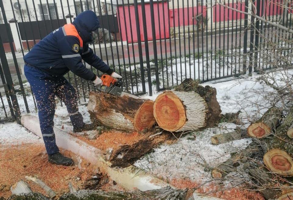    Фото: пресс-служба администрации Новороссийска