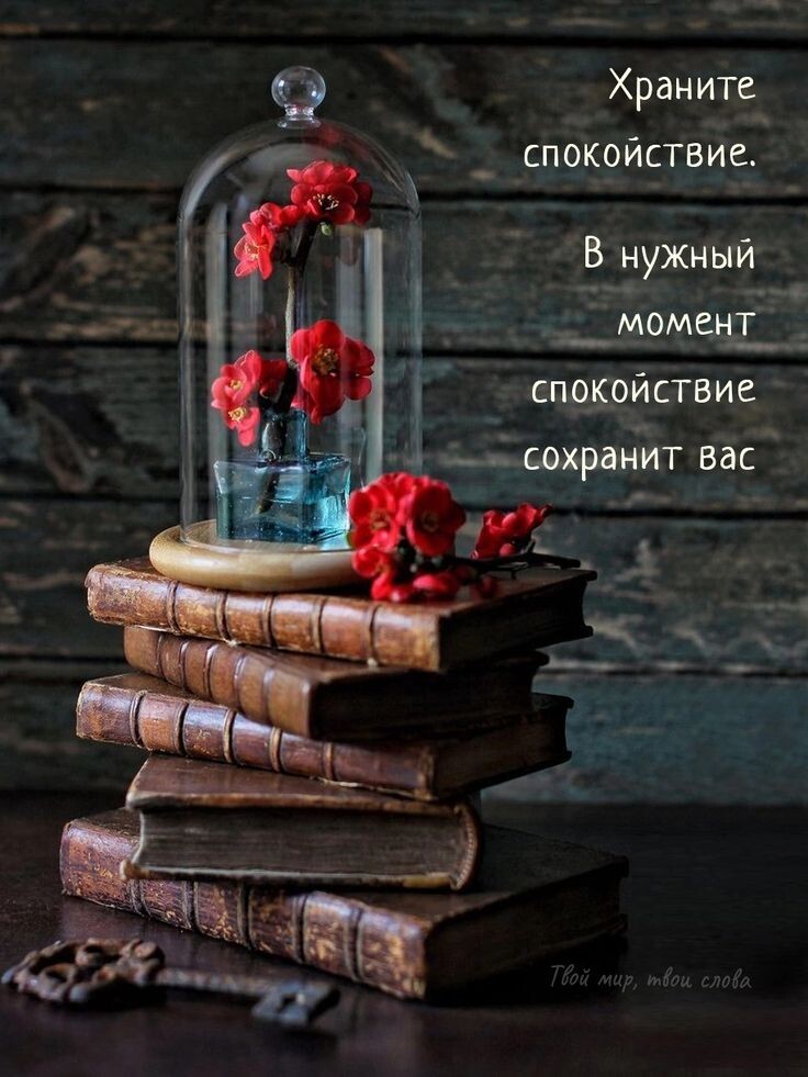 Мудрые мысли всегда заключены в Книгах. Именно в них - весь опыт накопленных поколений)