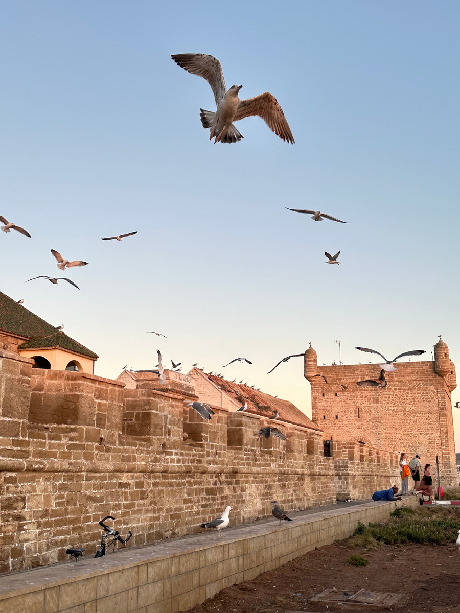 В XVI веке португальцы укрепили город, построив впечатляющие крепостные стены