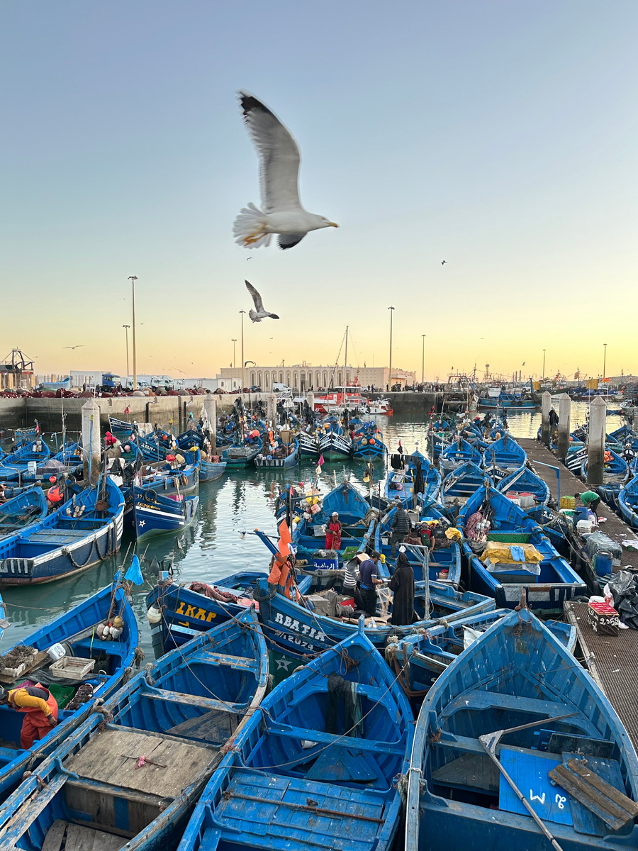 Эс-Сувейра также известна синими рыбацкими лодками, которые часто становятся объектами фотосессий для туристов. Кроме того, город стал местом съёмок эпизодов популярного сериала «Игра престолов»