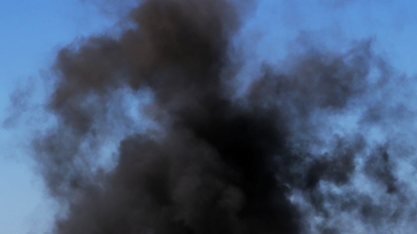    Фото: © РИА Новости/Виталий Тимкив; 5-tv.ru